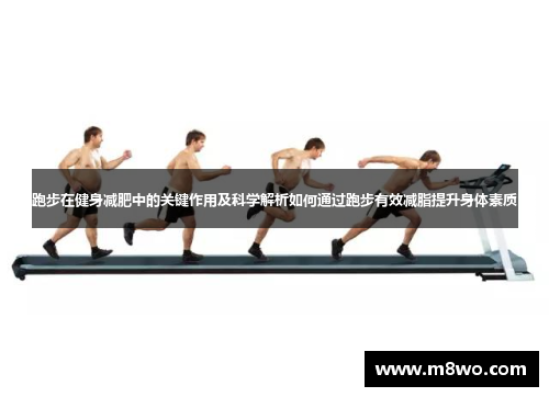 跑步在健身减肥中的关键作用及科学解析如何通过跑步有效减脂提升身体素质